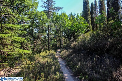 Forossky Park în Crimeea plimbare, istorie și fotografii