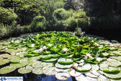 Forossky Park în Crimeea plimbare, istorie și fotografii