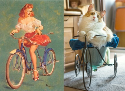 Galerie foto - pisici și copii - fotografie amuzantă a pisicilor