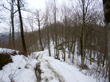 Pălăria montană și pintenii ei