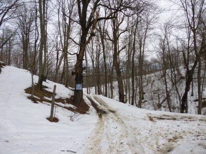 Pălăria montană și pintenii ei