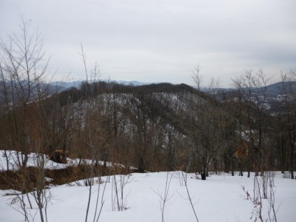 Pălăria montană și pintenii ei