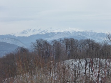 Pălăria montană și pintenii ei