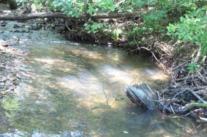 Excursie la Muntele Extrem de Est spre cheia în raportul dealurilor