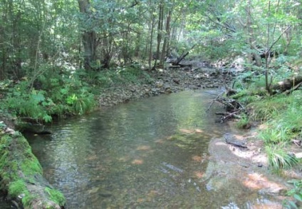 Excursie la Muntele Extrem de Est spre cheia în raportul dealurilor