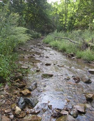 Excursie la Muntele Extrem de Est spre cheia în raportul dealurilor