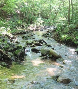 Excursie la Muntele Extrem de Est spre cheia în raportul dealurilor