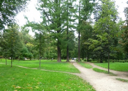 Parcul Grachevsky din Khovrino adresa unde se află, fotografia, ce să vezi, cum să ajungi acolo