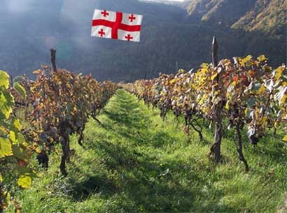Vinurile georgiene sunt roșii și albe, alcoolul este contradictoriu