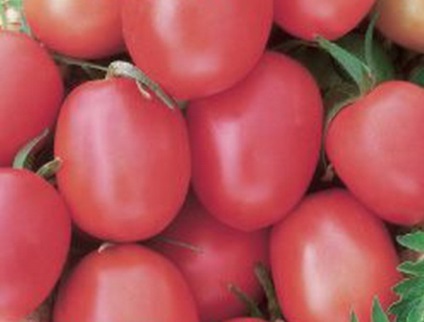 Soiuri de tomate nedeterminate pentru teren deschis