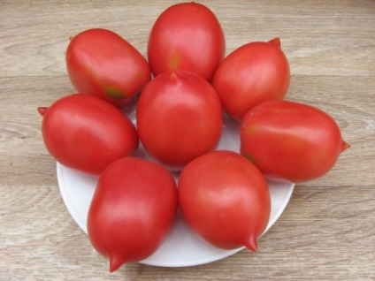 Soiuri de tomate nedeterminate pentru teren deschis