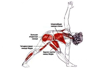 Yoga pentru gât cu complex de osteocondroză asan