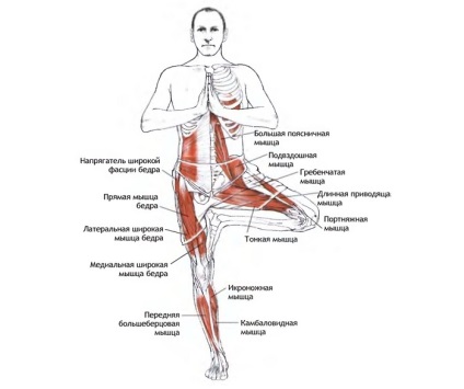 Yoga pentru gât cu complex de osteocondroză asan