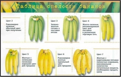 Ce feluri de mâncare neîndulcite de făcut din bananele verzi cu ce să combinăm