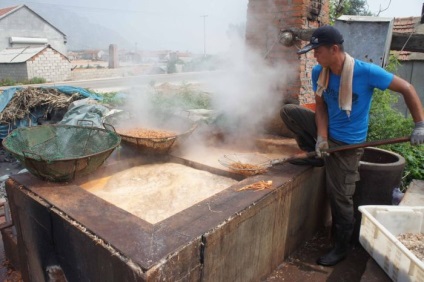 Cum să livrați creveți proaspeți chinezi (8 fotografii) - Trinikishi