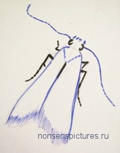 Cum de a desena un moli, un blog grafic artist al unui navigator novice o mică carte prostii