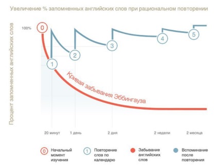 Cum să nu uităm cuvintele sau - curba ebbinghaus - o abordare naturală a limbajului