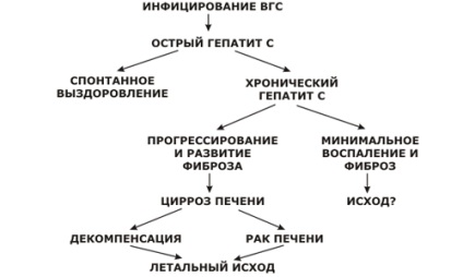 Как е хепатит С от човек на човек, на симптоми и лечение (снимки и видео)