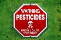 Cum să utilizați pesticidele (și dacă este necesar)