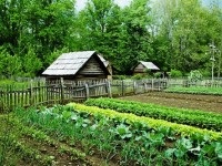 Cum de a face un rakulovka cu mâinile tale