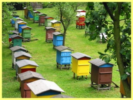 Hogyan készítsünk egy kaptárat a méheknek a saját kezével - a villa tulajdonosa