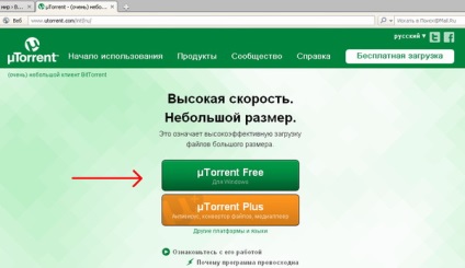 Cum se descarcă de pe un torrent, lumea calculatoarelor