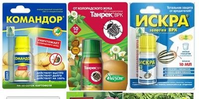 Cum să scapi de lopatele din oglindă răspunsurile experților (scoop) Cum sa scapi de lopatele din otel
