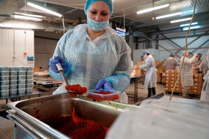 Modul în care roșiile produc conservă care pretind marcajul rusesc de calitate