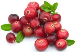 Cum se păstrează cranberries - 3 moduri