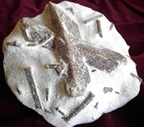 Kő-staurolite (kő) Kő-staurolite