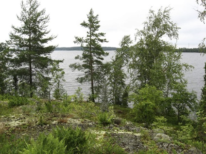 Karelia este o țară fabuloasă de păduri nesfârșite, lacuri albastre și roci maiestuoase