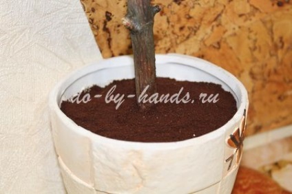 Arborele de cafea deține mâinile unei clase de master, cu o fotografie pe trepte