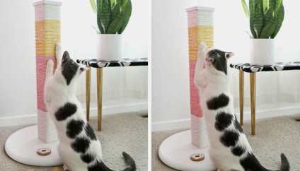 Kogotetochka propriile mâini pentru pisici instruire pas cu pas cu fotografie