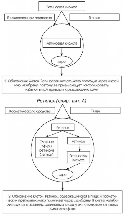 Corectarea modificărilor legate de vârstă în produsele cosmetice medicale