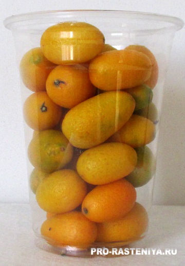 Beneficii Kumquat și rău