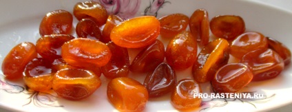 Kumquat előnyöket és kárt