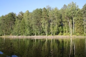 Lacurile Ladoga și Onega