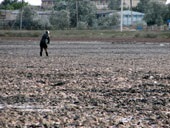 Nămol vindecător din pârâia interurbană - pensiune - un bumerang fericit, intervine, Crimeea