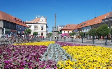 Tratamentul în podebrady