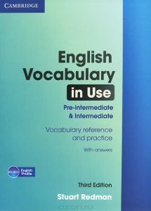 Vocabularul în lecția engleză, notele tutorelui