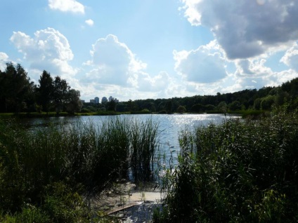 Forest Park Pokrovskoe-stershnevo
