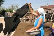 A Földművelésügyi Minisztérium új állat-egészségügyi szabályokat dolgozott ki - ugra-agro, haltenyésztési felszerelést és