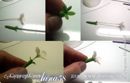 Mk pentru incepatori - flori mici din frigider de portelan, tara de maestri