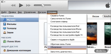 Actualizați itunes la versiunea 11