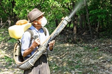 Обробка саду восени сечовиною від підготовки до обприскування, інструкція