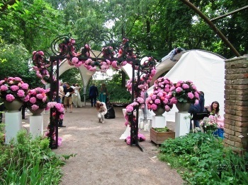 A terem díszítése és díszítése esküvőre nagy virágokkal