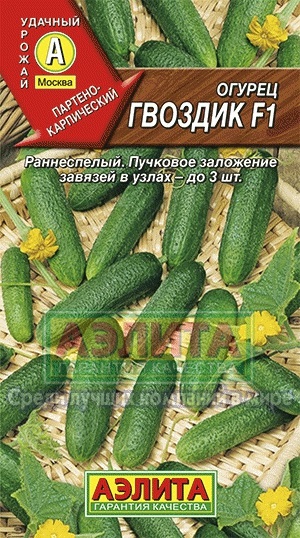 Cuișoare de fructe f1 cumpăra semințe de producători de en-gros și de vânzare cu amănuntul de castraveți