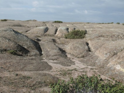 Geologul estimează urmele fosilizate ale vechilor 