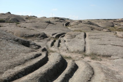 Geologul estimează urmele fosilizate ale vechilor 