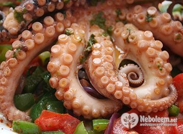 Octopus - proprietăți utile și valoare nutritivă